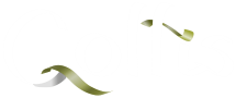 avatar_Goltis_whight_flat